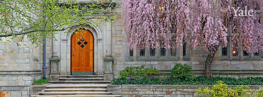 Yale door in spring