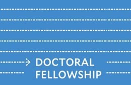 Blue rectangle with arrow that reads Doctoral Fellowship
