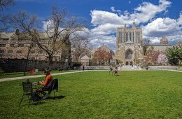 summer at yale